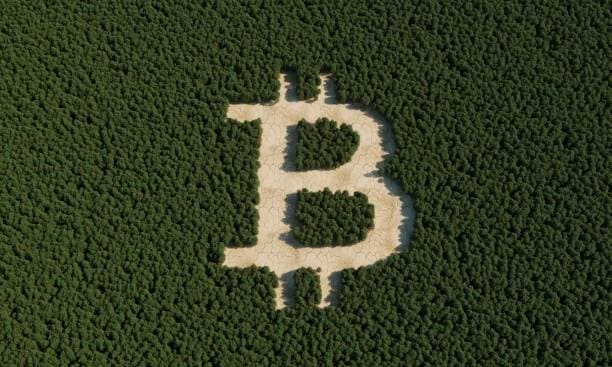 You are currently viewing A Comparative Analysis of Centralized and Decentralized Crypto Exchanges