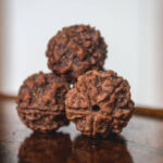 how to check rudraksha mukhi