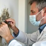 Mold Testing Riverview FL