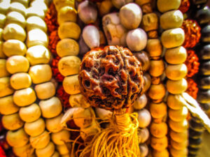 Read more about the article Why People Around Me Won’t Stop Talking About Real Rudraksha